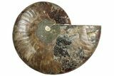 Cut & Polished Ammonite Fossil (Half) - Madagascar #308189-1